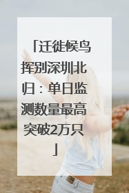 迁徙候鸟挥别深圳北归：单日监测数量最高突破2万只