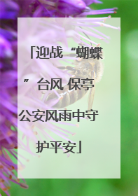 迎战“蝴蝶”台风 保亭公安风雨中守护平安