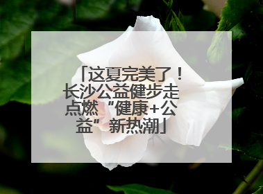 这夏完美了！长沙公益健步走点燃“健康+公益”新热潮