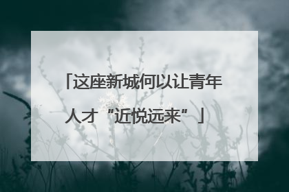 这座新城何以让青年人才“近悦远来”