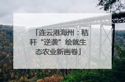 连云港海州：秸秆“逆袭”绘就生态农业新画卷