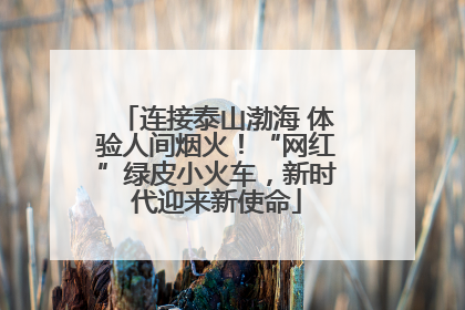 连接泰山渤海 体验人间烟火！“网红”绿皮小火车，新时代迎来新使命