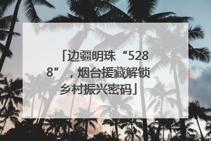 边疆明珠“5288”，烟台援藏解锁乡村振兴密码