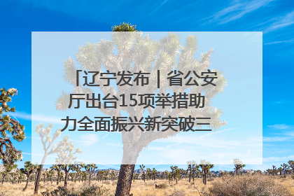 辽宁发布｜省公安厅出台15项举措助力全面振兴新突破三年行动决胜之战
