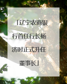 辽宁农商银行首任行长杨济时正式升任董事长