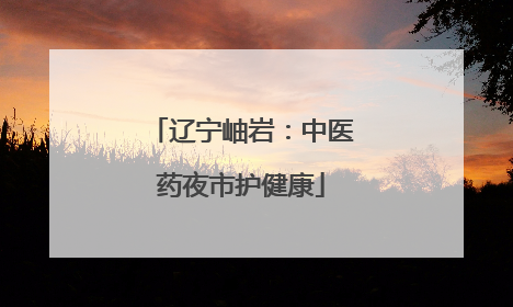 辽宁岫岩：中医药夜市护健康