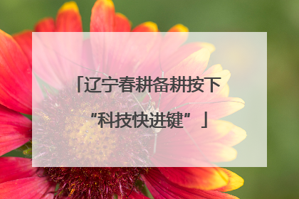 辽宁春耕备耕按下“科技快进键”
