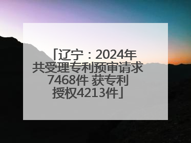 辽宁：2024年共受理专利预审请求7468件 获专利授权4213件