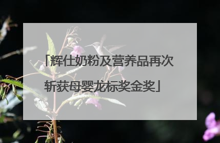 辉仕奶粉及营养品再次斩获母婴龙标奖金奖