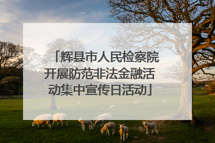 辉县市人民检察院开展防范非法金融活动集中宣传日活动