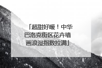 超甜好暖！中华巴洛克街区花卉墙画浪漫指数拉满