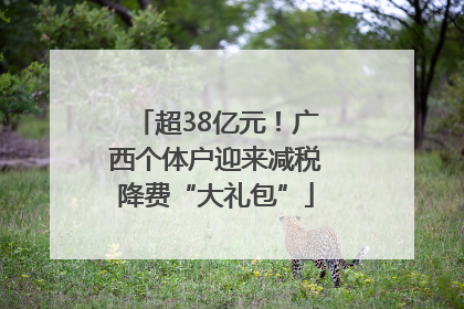 超38亿元！广西个体户迎来减税降费“大礼包”