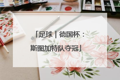 足球｜德国杯：斯图加特队夺冠