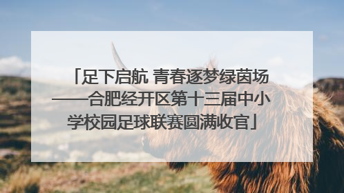 足下启航 青春逐梦绿茵场——合肥经开区第十三届中小学校园足球联赛圆满收官