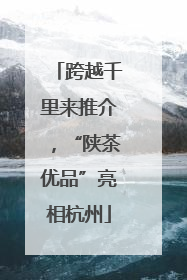 跨越千里来推介，“陕茶优品”亮相杭州