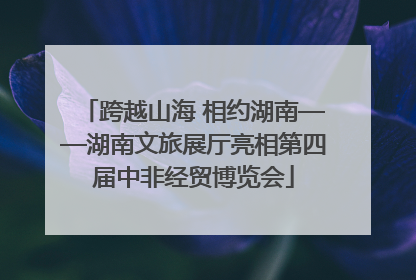 跨越山海 相约湖南——湖南文旅展厅亮相第四届中非经贸博览会