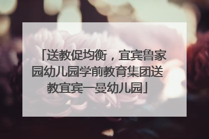 送教促均衡，宜宾鲁家园幼儿园学前教育集团送教宜宾一曼幼儿园