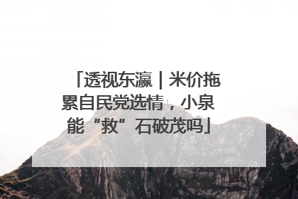 透视东瀛｜米价拖累自民党选情，小泉能“救”石破茂吗