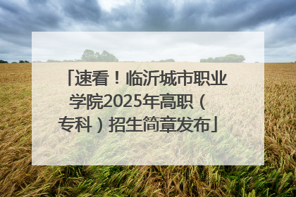 速看！临沂城市职业学院2025年高职（专科）招生简章发布