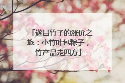 遂昌竹子的涨价之旅：小竹叶包粽子，竹产品走四方