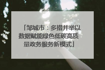邹城市：多措并举以数据赋能绿色低碳高质量政务服务新模式