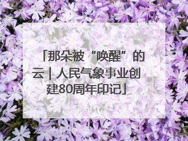 那朵被“唤醒”的云｜人民气象事业创建80周年印记
