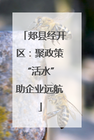 郏县经开区：聚政策“活水” 助企业远航