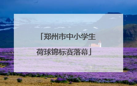 郑州市中小学生荷球锦标赛落幕