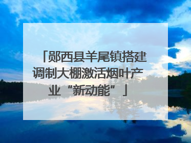 郧西县羊尾镇搭建调制大棚激活烟叶产业“新动能”