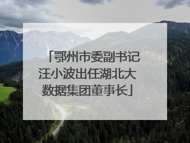 鄂州市委副书记汪小波出任湖北大数据集团董事长