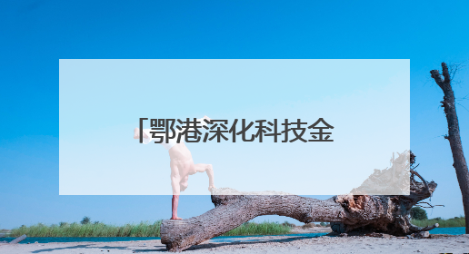 鄂港深化科技金融合作 共建科创企业出海通道