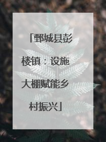 鄄城县彭楼镇：设施大棚赋能乡村振兴