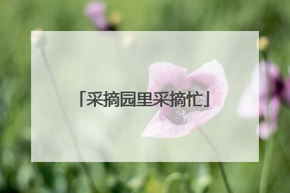 采摘园里采摘忙