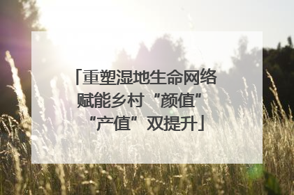 重塑湿地生命网络 赋能乡村“颜值”“产值”双提升