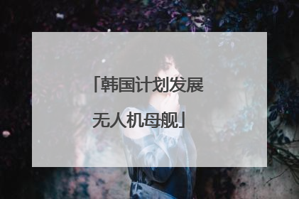 韩国计划发展无人机母舰