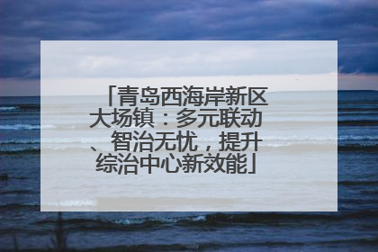 青岛西海岸新区大场镇：多元联动、智治无忧，提升综治中心新效能
