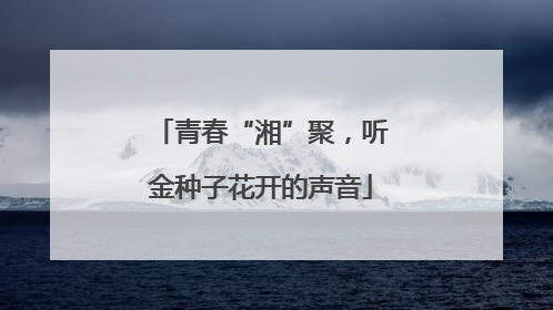 青春“湘”聚，听金种子花开的声音