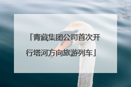 青藏集团公司首次开行塔河方向旅游列车