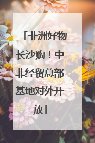 非洲好物长沙购！中非经贸总部基地对外开放