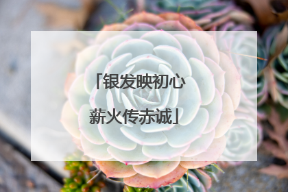 银发映初心 薪火传赤诚