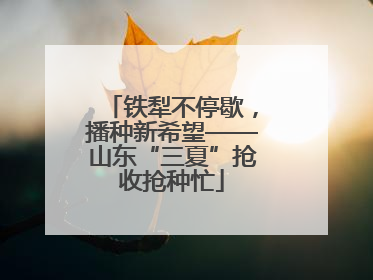 铁犁不停歇，播种新希望——山东“三夏”抢收抢种忙