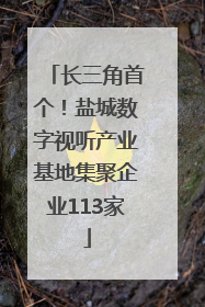 长三角首个！盐城数字视听产业基地集聚企业113家