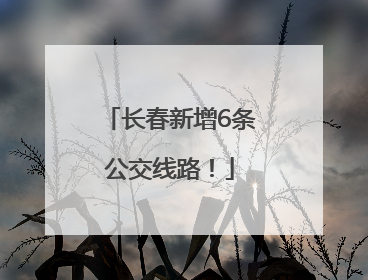 长春新增6条公交线路！