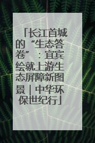 长江首城的“生态答卷”：宜宾绘就上游生态屏障新图景｜中华环保世纪行