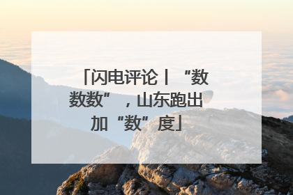 闪电评论丨“数数数”，山东跑出加“数”度