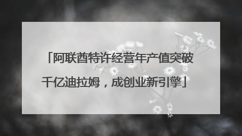 阿联酋特许经营年产值突破千亿迪拉姆，成创业新引擎