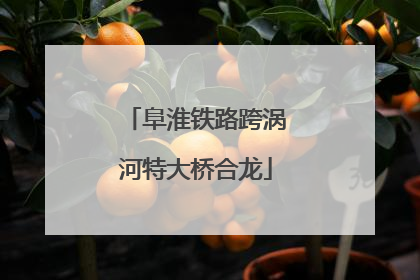 阜淮铁路跨涡河特大桥合龙