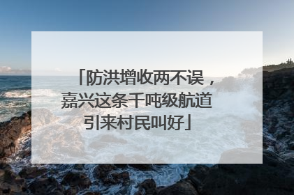 防洪增收两不误，嘉兴这条千吨级航道引来村民叫好