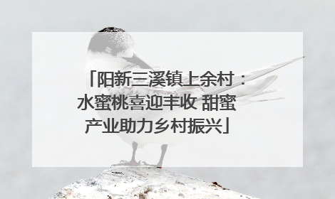 阳新三溪镇上余村：水蜜桃喜迎丰收 甜蜜产业助力乡村振兴