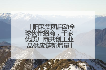 阳采集团启动全球伙伴招商，千家优质厂商共创工业品供应链新增量